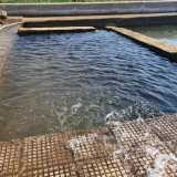 ...una vasca in pietra da cui fuoriesce limpida acqua di falda usata per irrorare i campi. Una visione che � lecito definire inedita per Bari